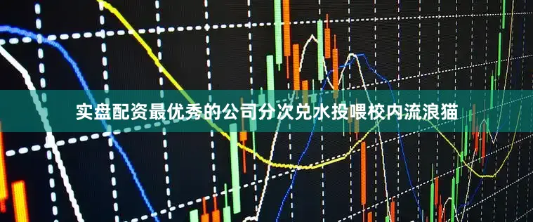 实盘配资最优秀的公司分次兑水投喂校内流浪猫