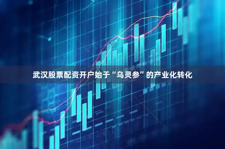 武汉股票配资开户始于“乌灵参”的产业化转化