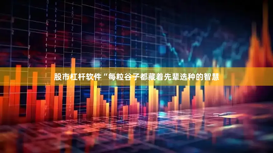 股市杠杆软件“每粒谷子都藏着先辈选种的智慧