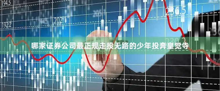 哪家证券公司最正规走投无路的少年投奔皇觉寺